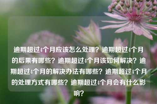 逾期超过4个月应该怎么处理？逾期超过4个月的后果有哪些？逾期超过4个月该如何解决？逾期超过4个月的解决办法有哪些？逾期超过4个月的处理方式有哪些？逾期超过4个月会有什么影响？