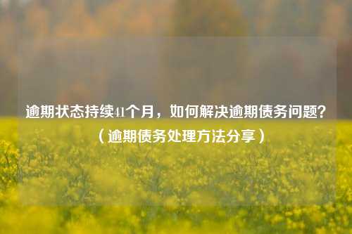 逾期状态持续41个月，如何解决逾期债务问题？（逾期债务处理方法分享）