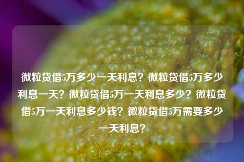 微粒贷借5万多少一天利息？微粒贷借5万多少利息一天？微粒贷借5万一天利息多少？微粒贷借5万一天利息多少钱？微粒贷借5万需要多少一天利息？