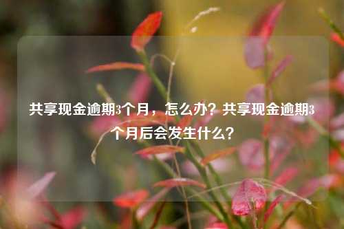 共享现金逾期3个月，怎么办？共享现金逾期3个月后会发生什么？