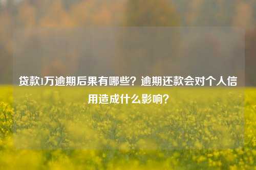 贷款1万逾期后果有哪些？逾期还款会对个人信用造成什么影响？