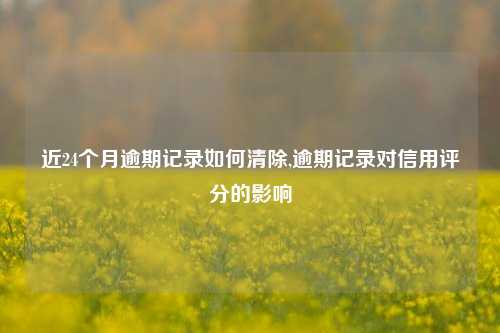 近24个月逾期记录如何清除,逾期记录对信用评分的影响