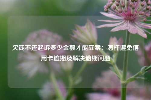 欠钱不还起诉多少金额才能立案：怎样避免信用卡逾期及解决逾期问题