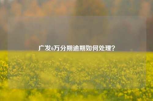 广发6万分期逾期如何处理？