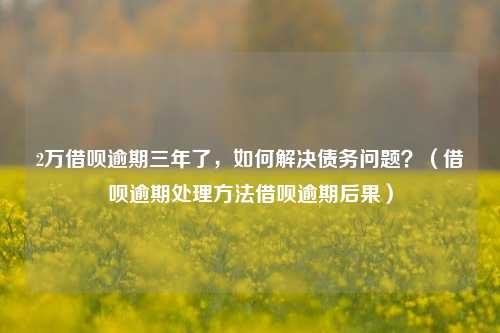 2万借呗逾期三年了，如何解决债务问题？（借呗逾期处理方法借呗逾期后果）