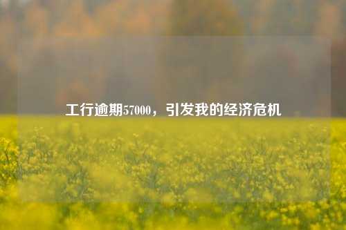 工行逾期57000，引发我的经济危机