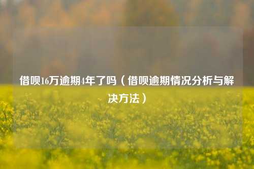 借呗16万逾期4年了吗（借呗逾期情况分析与解决方法）