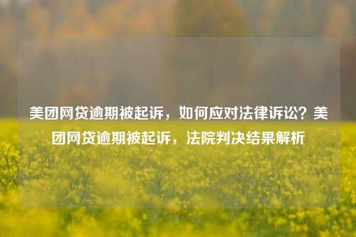 美团网贷逾期被起诉，如何应对法律诉讼？美团网贷逾期被起诉，法院判决结果解析