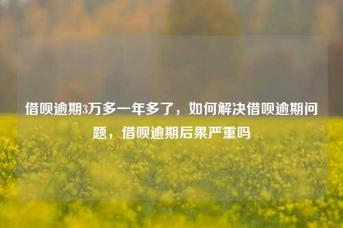 借呗逾期3万多一年多了，如何解决借呗逾期问题，借呗逾期后果严重吗