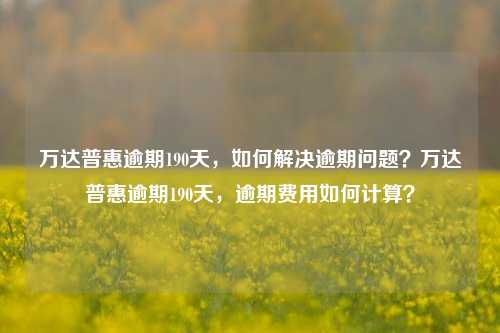 万达普惠逾期190天，如何解决逾期问题？万达普惠逾期190天，逾期费用如何计算？