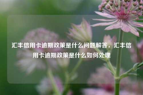 汇丰信用卡逾期政策是什么问题解答，汇丰信用卡逾期政策是什么如何处理