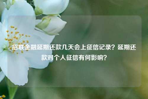 招联金融延期还款几天会上征信记录？延期还款对个人征信有何影响？