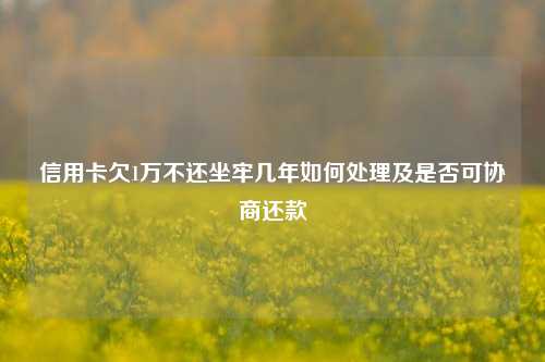 信用卡欠1万不还坐牢几年如何处理及是否可协商还款