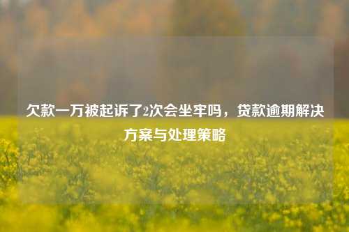 欠款一万被起诉了2次会坐牢吗，贷款逾期解决方案与处理策略