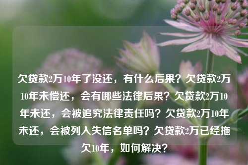 欠贷款2万10年了没还，有什么后果？欠贷款2万10年未偿还，会有哪些法律后果？欠贷款2万10年未还，会被追究法律责任吗？欠贷款2万10年未还，会被列入失信名单吗？欠贷款2万已经拖欠10年，如何解决？