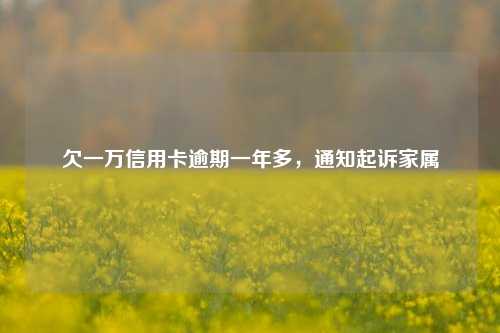 欠一万信用卡逾期一年多，通知起诉家属