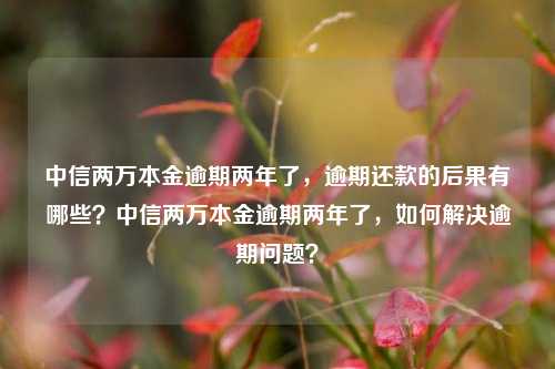 中信两万本金逾期两年了，逾期还款的后果有哪些？中信两万本金逾期两年了，如何解决逾期问题？