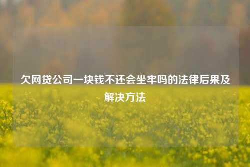 欠网贷公司一块钱不还会坐牢吗的法律后果及解决方法