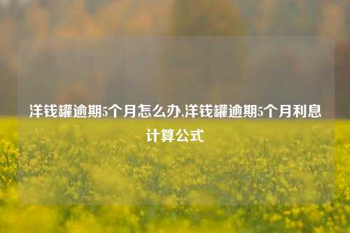 洋钱罐逾期5个月怎么办,洋钱罐逾期5个月利息计算公式