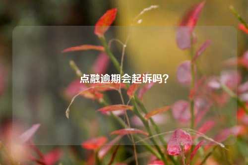 点融逾期会起诉吗？