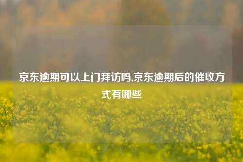 京东逾期可以上门拜访吗,京东逾期后的催收方式有哪些