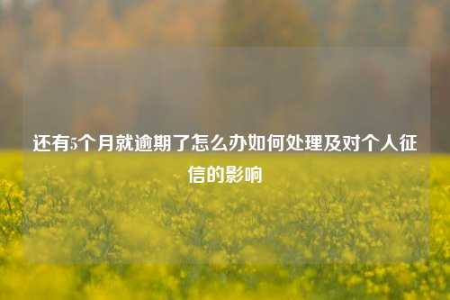 还有5个月就逾期了怎么办如何处理及对个人征信的影响