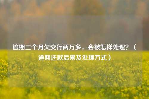 逾期三个月欠交行两万多，会被怎样处理？（逾期还款后果及处理方式）