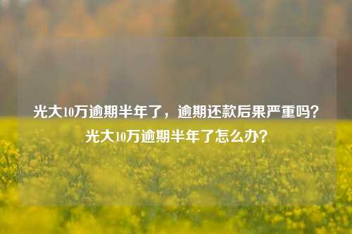 光大10万逾期半年了，逾期还款后果严重吗？光大10万逾期半年了怎么办？