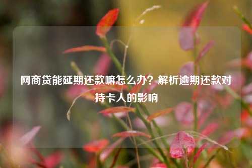 网商贷能延期还款嘛怎么办？解析逾期还款对持卡人的影响