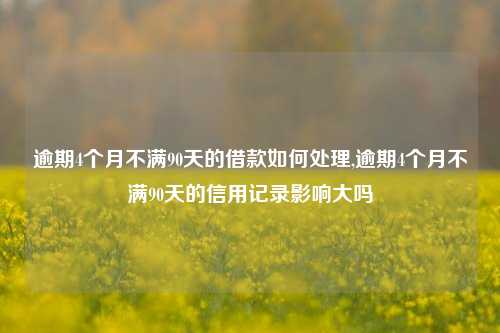 逾期4个月不满90天的借款如何处理,逾期4个月不满90天的信用记录影响大吗