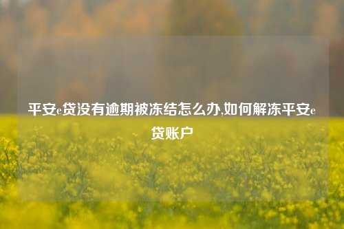 平安e贷没有逾期被冻结怎么办,如何解冻平安e贷账户