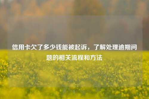 信用卡欠了多少钱能被起诉，了解处理逾期问题的相关流程和方法