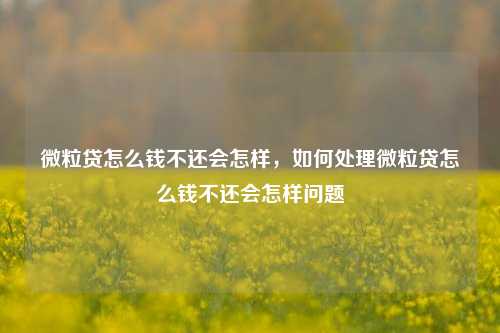 微粒贷怎么钱不还会怎样，如何处理微粒贷怎么钱不还会怎样问题