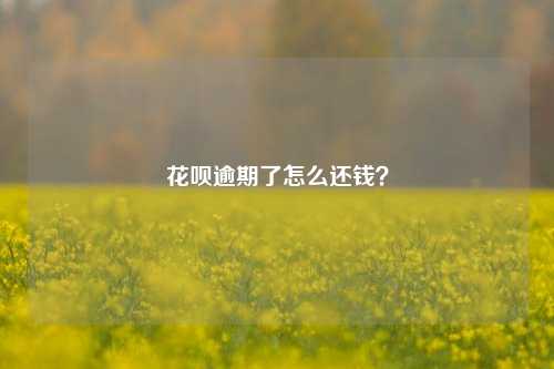 花呗逾期了怎么还钱？