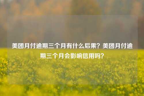 美团月付逾期三个月有什么后果？美团月付逾期三个月会影响信用吗？