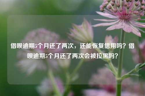 借呗逾期5个月还了两次，还能恢复信用吗？借呗逾期5个月还了两次会被拉黑吗？