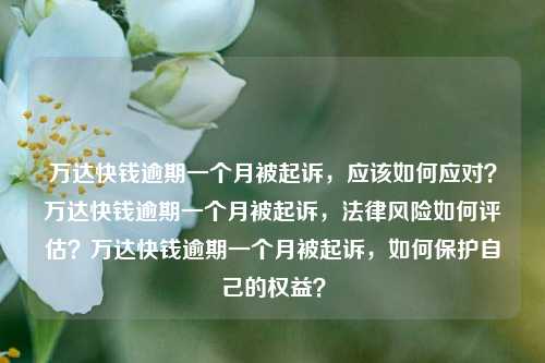 万达快钱逾期一个月被起诉，应该如何应对？万达快钱逾期一个月被起诉，法律风险如何评估？万达快钱逾期一个月被起诉，如何保护自己的权益？