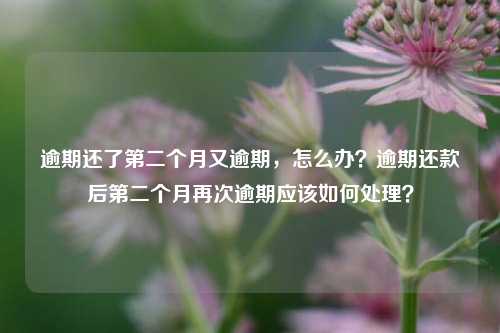 逾期还了第二个月又逾期，怎么办？逾期还款后第二个月再次逾期应该如何处理？