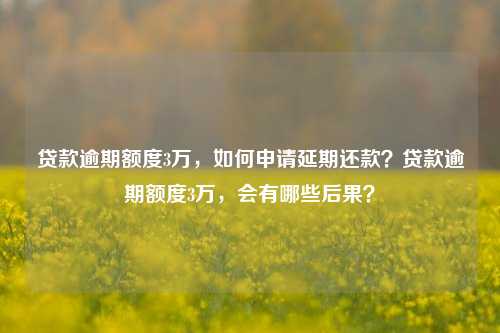 贷款逾期额度3万，如何申请延期还款？贷款逾期额度3万，会有哪些后果？