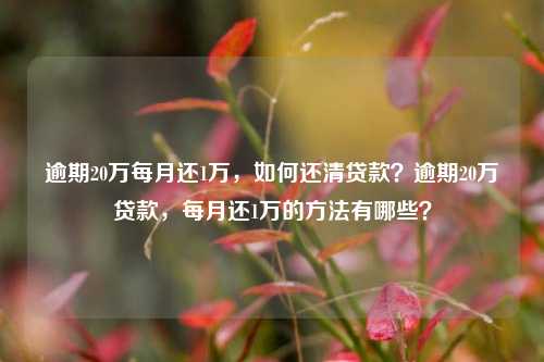 逾期20万每月还1万，如何还清贷款？逾期20万贷款，每月还1万的方法有哪些？