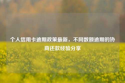 个人信用卡逾期政策最新，不同数额逾期的协商还款经验分享