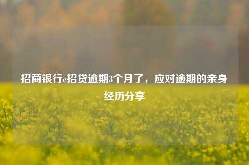 招商银行e招贷逾期3个月了，应对逾期的亲身经历分享