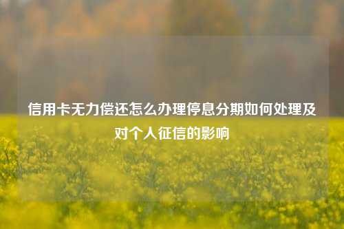 信用卡无力偿还怎么办理停息分期如何处理及对个人征信的影响