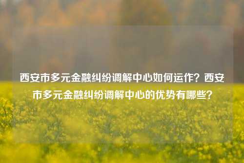 西安市多元金融纠纷调解中心如何运作？西安市多元金融纠纷调解中心的优势有哪些？