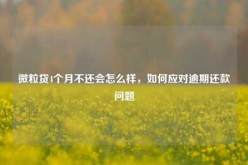 微粒贷4个月不还会怎么样，如何应对逾期还款问题