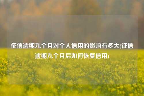 征信逾期九个月对个人信用的影响有多大(征信逾期九个月后如何恢复信用)