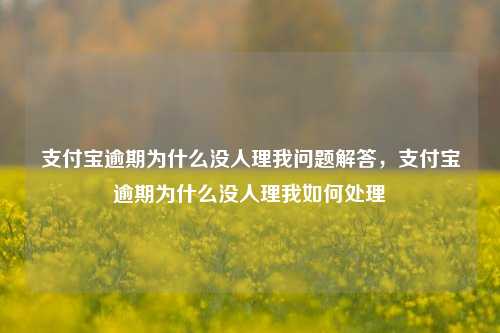 支付宝逾期为什么没人理我问题解答，支付宝逾期为什么没人理我如何处理