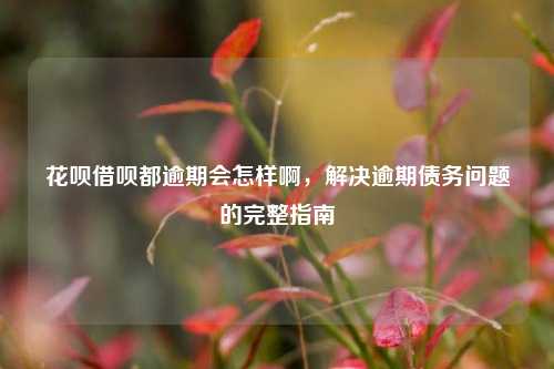 花呗借呗都逾期会怎样啊，解决逾期债务问题的完整指南