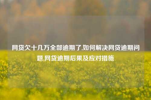 网贷欠十几万全部逾期了,如何解决网贷逾期问题,网贷逾期后果及应对措施