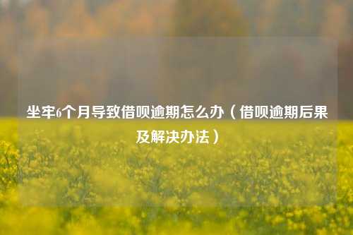 坐牢6个月导致借呗逾期怎么办（借呗逾期后果及解决办法）